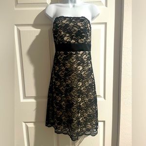 WHBM Strapless Cream with Black Lace Cocktail Dress